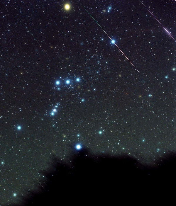 Sciame meteorico delle Perseidi :i 10 trucchi per riuscire a vedere le stelle cadenti