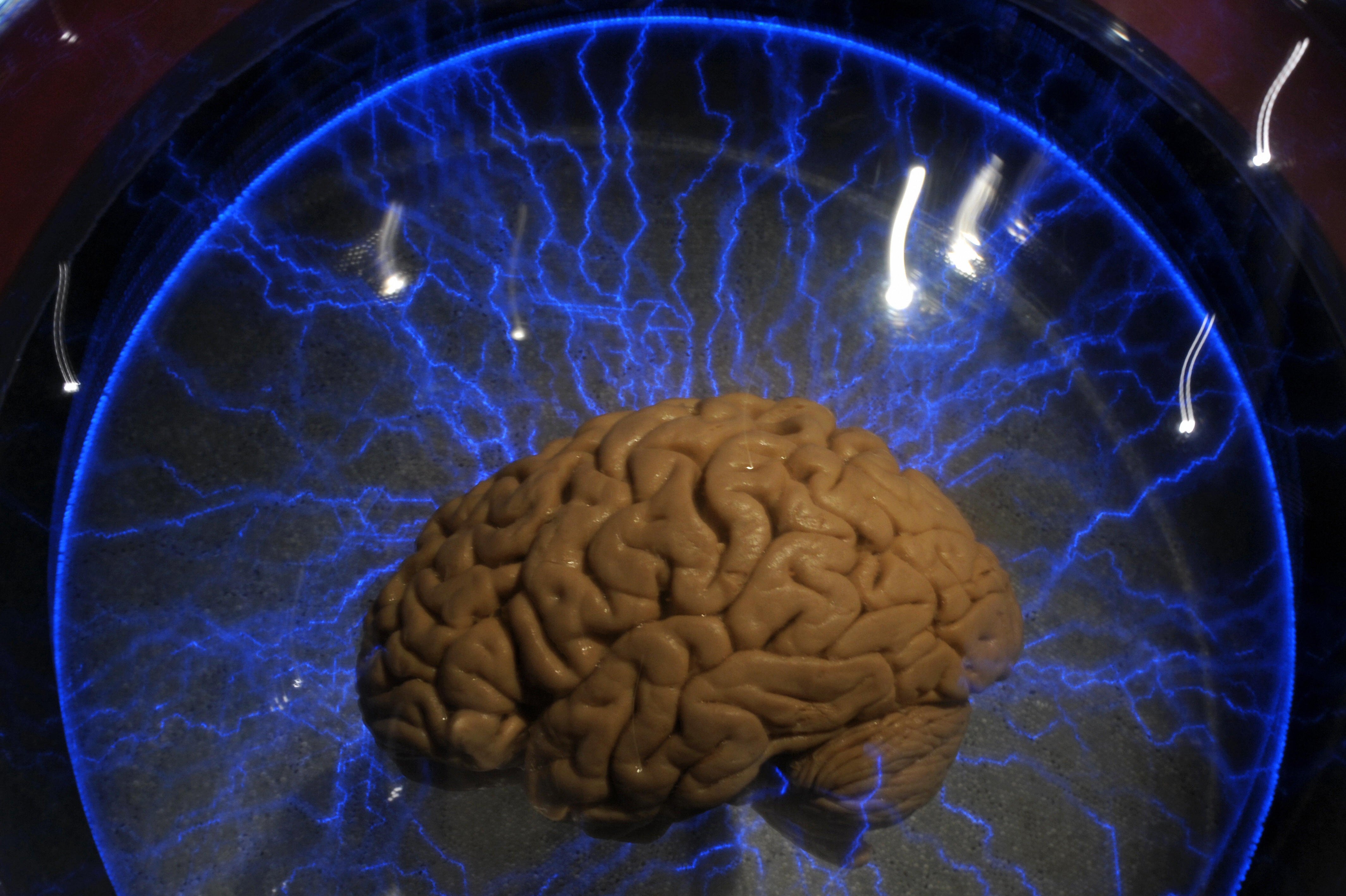 Воля про мозг. 2030год он мозг робот.