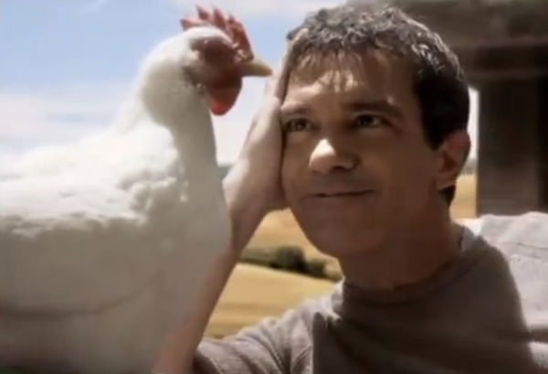 Gli animalisti che denunciano i maltrattamenti della gallina robot nello spot con Banderas