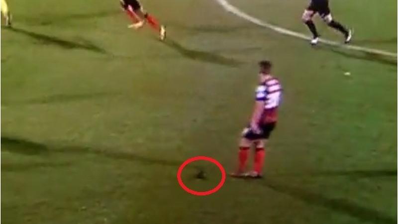 Baily Cargill, il calciatore che perde il parrucchino in campo