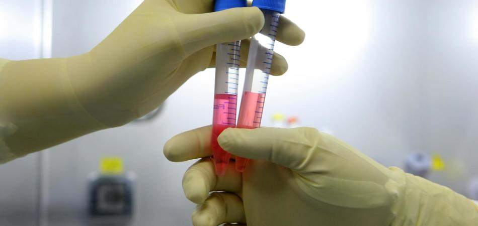nuovo virus cinese