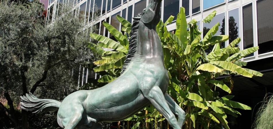 Evade il fisco per «colpa» della Rai, assolta dal tribunale