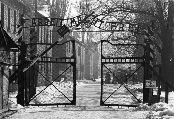Auschwitz, i drammatici numeri dello sterminio nazista article-post