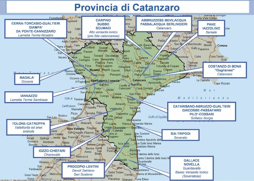 mappa ndrangheta 05 catanzaro