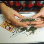 marijuana 420