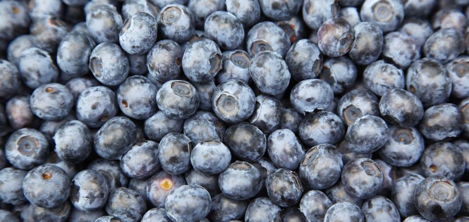 dieta dimagrante con succhi di frutta