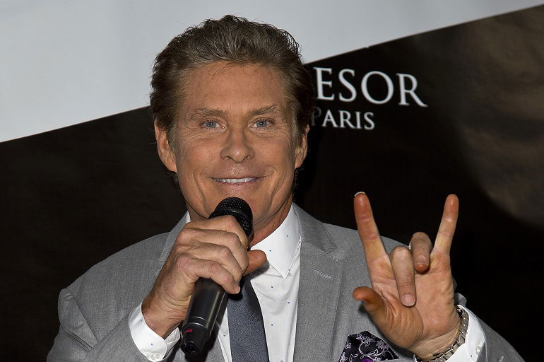 Next photo of David Hasselhoff