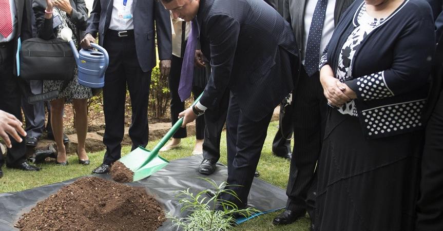 matteo renzi