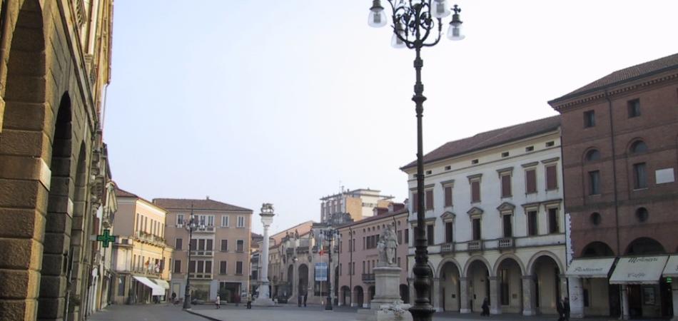 multe forza italia rovigo
