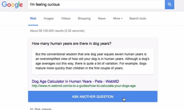 google fun facts