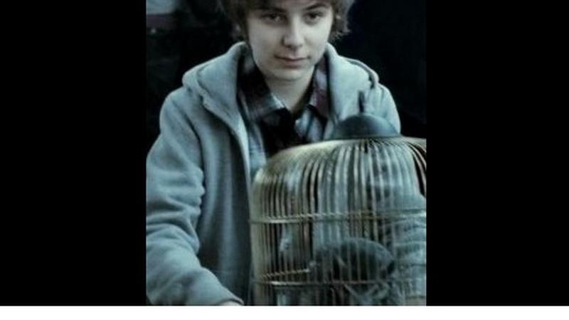 Harry Potter