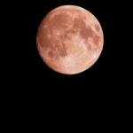 eclissi luna 28 settembre 2015 foto
