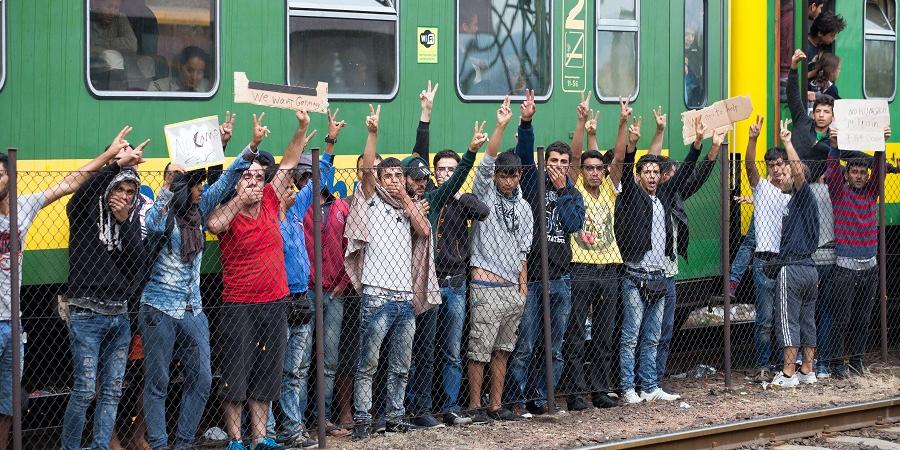 migranti