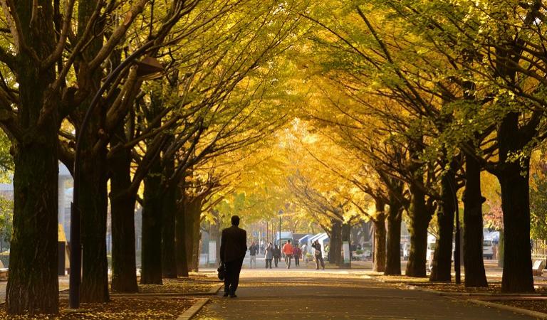 Quando è il primo giorno d'autunno | Giornalettismo