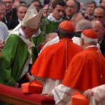 papa francesco cardinale cade foto