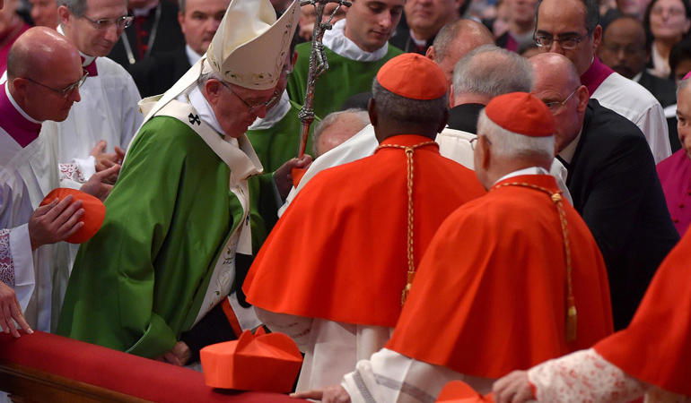 papa francesco cardinale cade foto