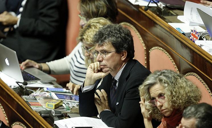 emendamento canguro roberto cociancich