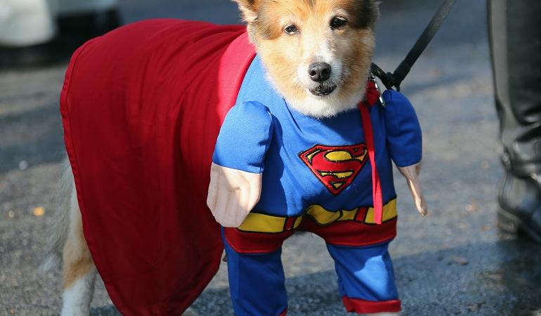 Halloween costumi fai da te