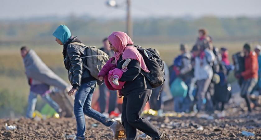 migranti