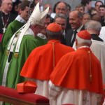 papa francesco cardinale cade foto