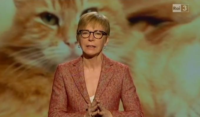 Report veterinario