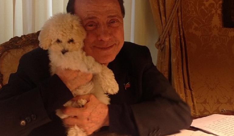 berlusconi dudù cuccioli dudina