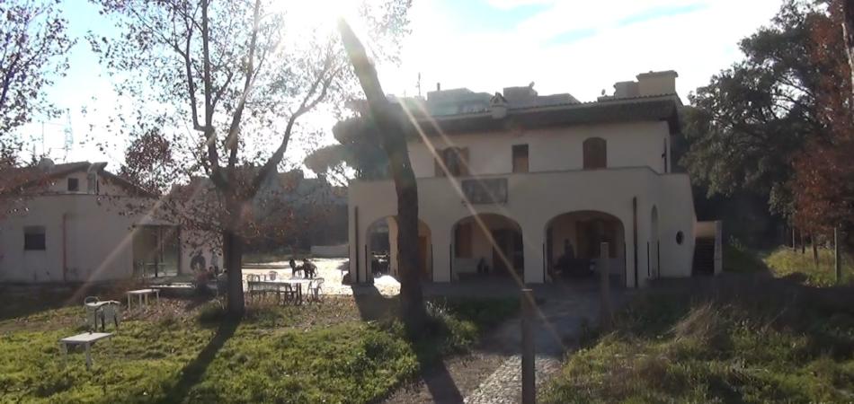 biblioteca fabrizio giovenale roma