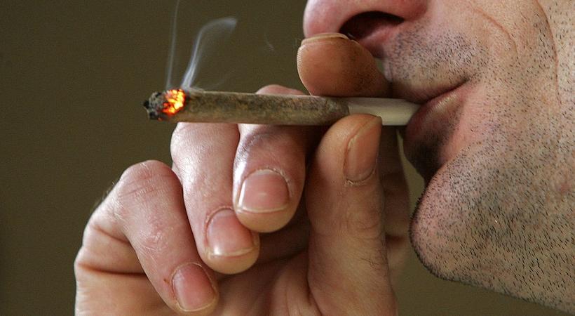 Cannabis intelligenza