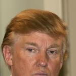Donald Trump capelli