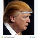 Donald Trump capelli