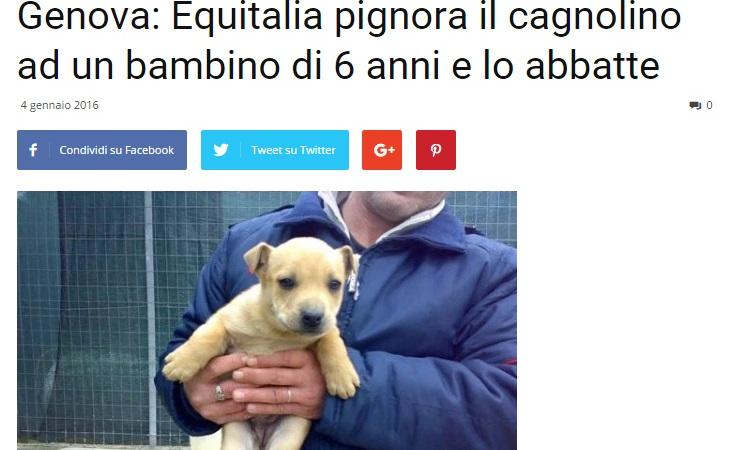 equitalia abbatte cagnolino