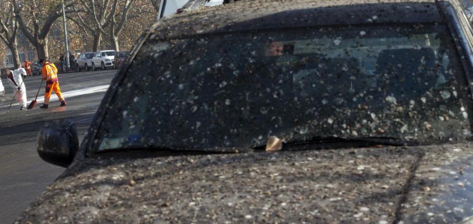 roma guano tubercolosi