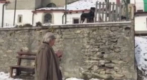 vittorio sgarbi risponde animalisti