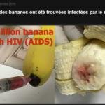 bufala banana aids