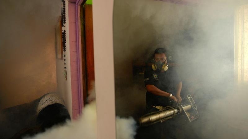Zika Virus
