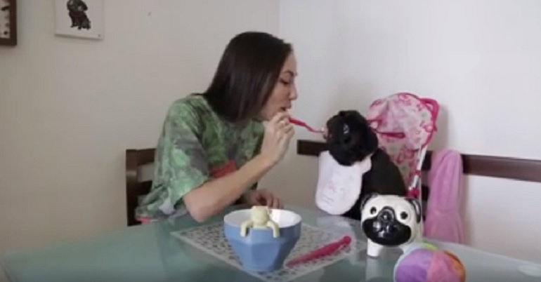 Cosa Succede Se Un Cane Viene Dentro Una Donna