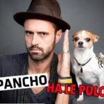 chihuahua-pancho-video-neve