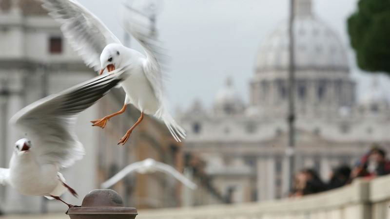 Roma