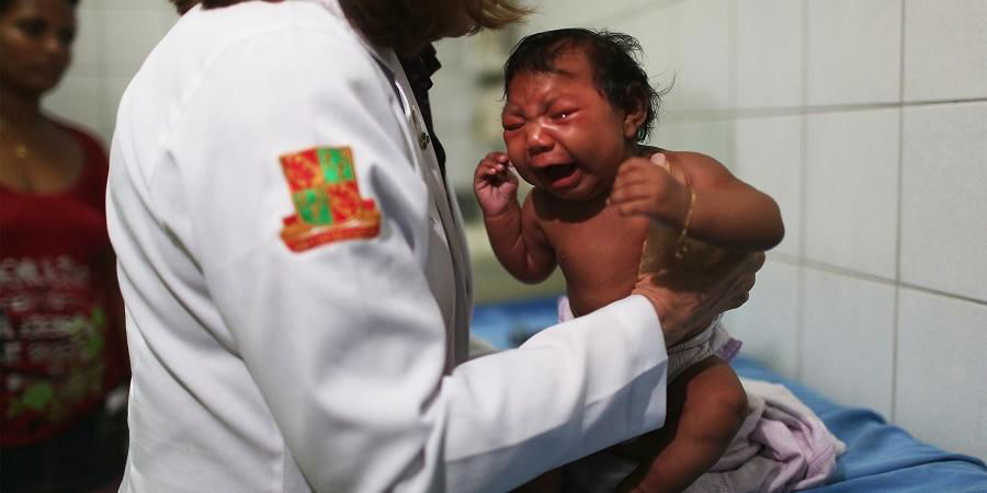 Zika virus dubbi sull'allarme