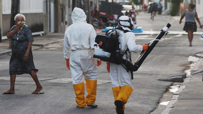 Zika virus
