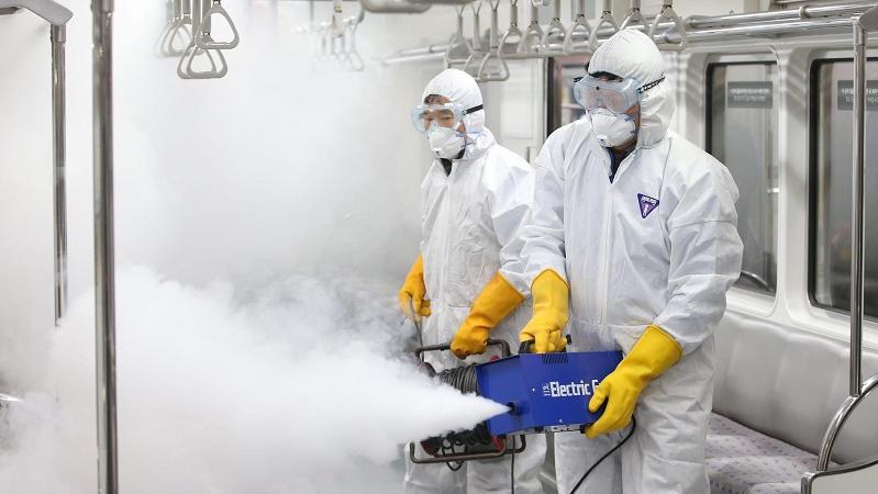Zika virus