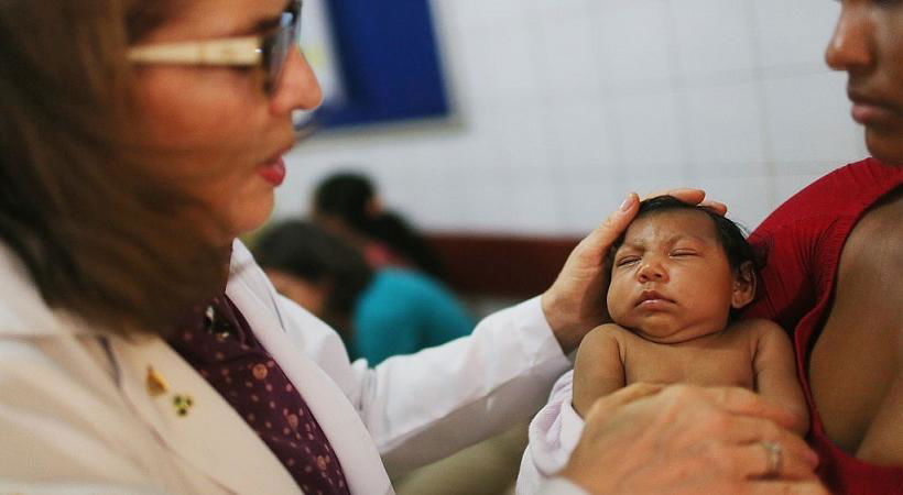 zika virus microcefalia