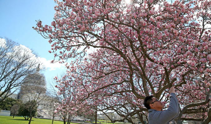 equinozio di primavera