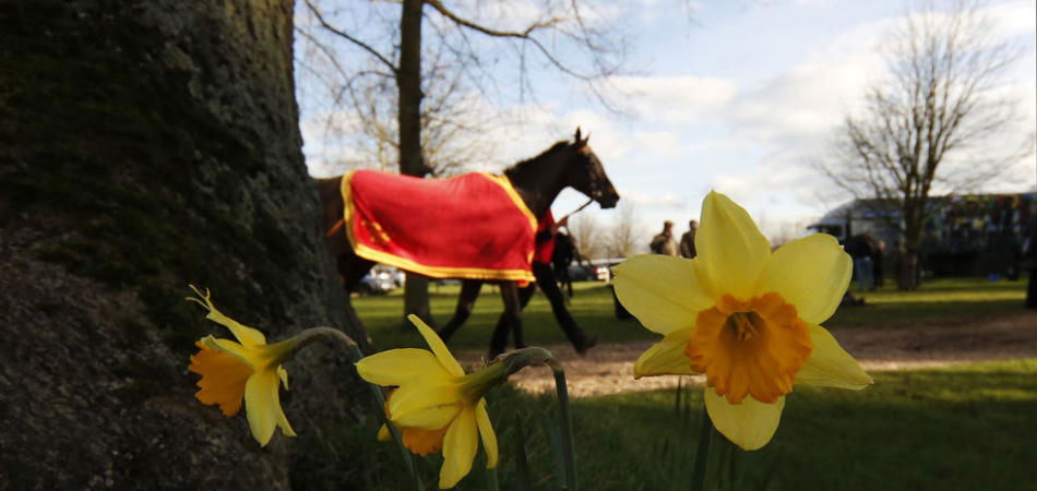 equinozio di primavera