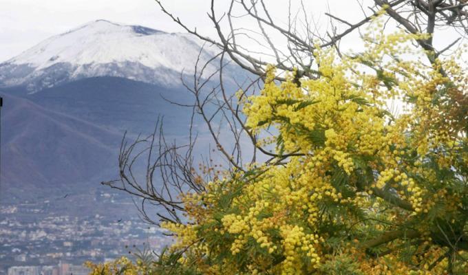 8 marzo, Festa della Donna