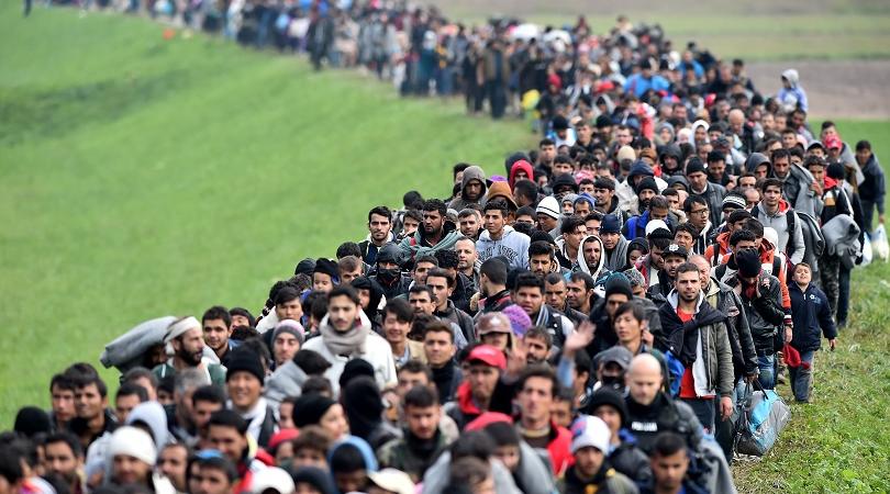Migranti