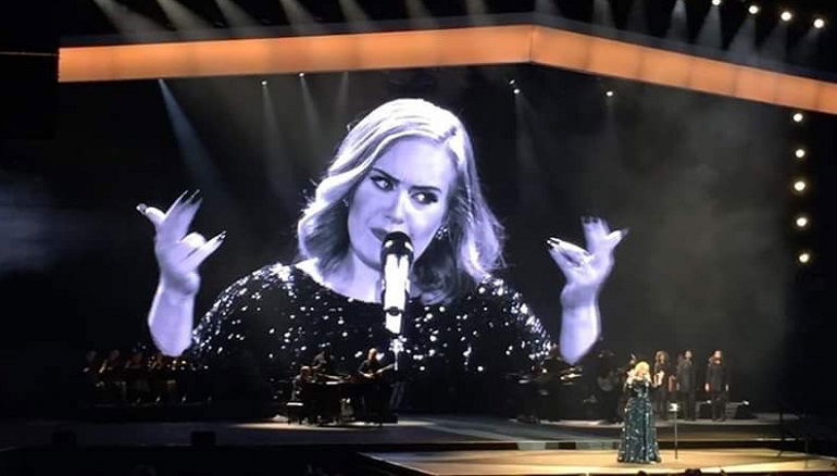 Adele sgrida fan video concerto