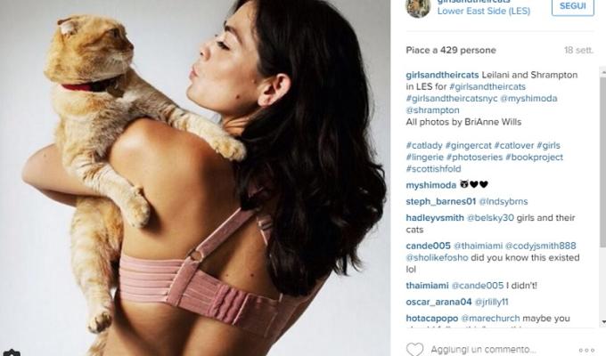 ragazze gatti instagram foto brianne willis