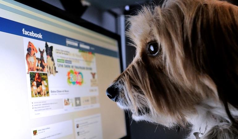 ladro amico su facebook