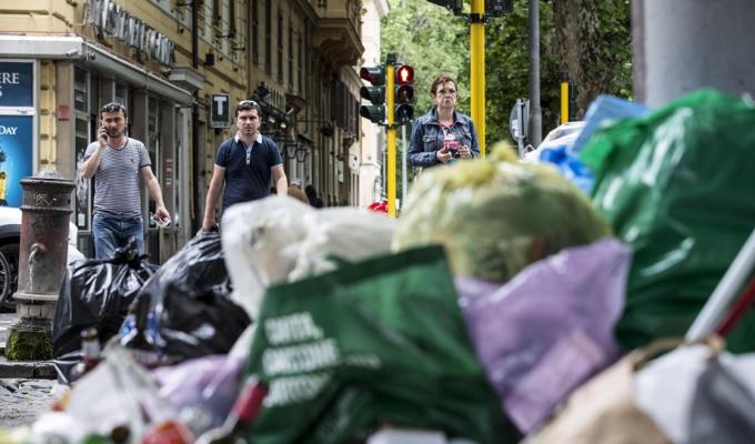 Formaggi diossina Roma